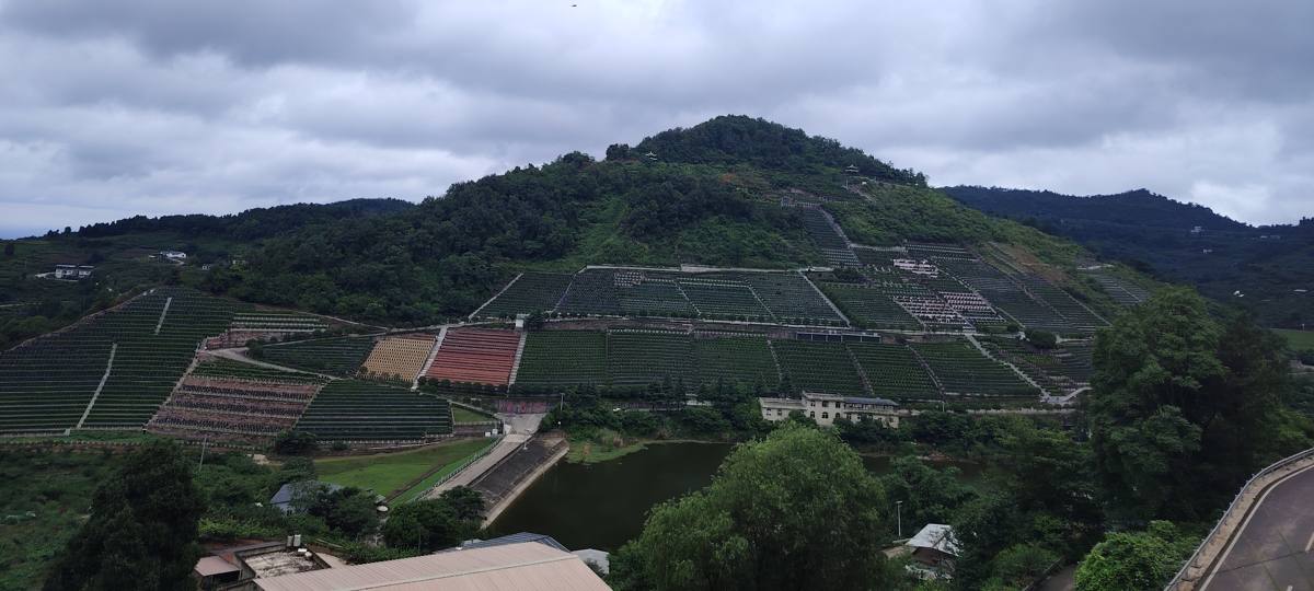 陵园景观